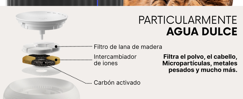 24 Filtros para Fuente de Gato PrettyPaw