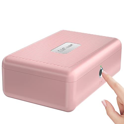 Caja de seguridad biométrica portátil rosa
