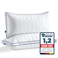 Juego de 2 Almohadas BedStory 40 x 80 cm