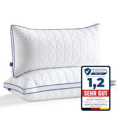 Juego de 2 Almohadas BedStory 40 x 80 cm