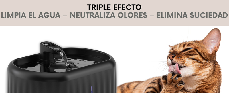 24 Filtros para Fuente de Gato PrettyPaw